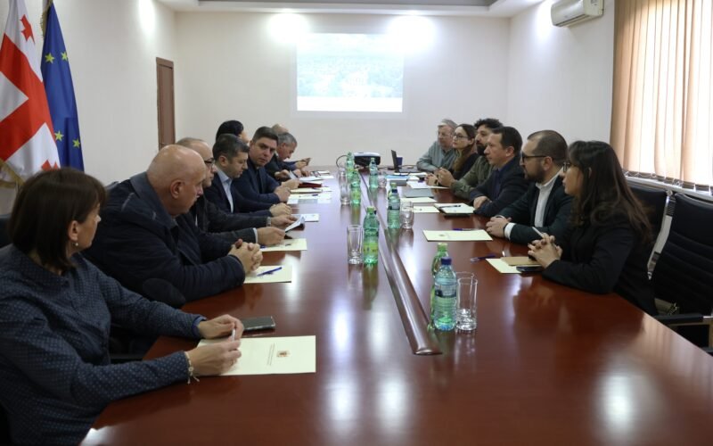 ოზურგეთში ქალაქის გენერალური გეგმის შემუშავება დაიწყო