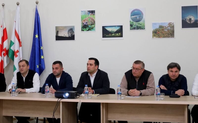 ახალციხეში ქალაქის გენერალური გეგმის შემუშავება დაიწყო